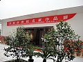2009沙家浜画院5周年画展