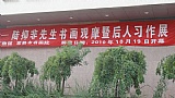 陆抑非及后人书画展