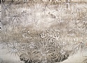 2010年 第十六届亚运会全国中国画展 