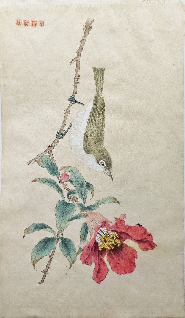 《榴花初绽引禽来》 